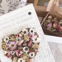 Dried Flower Heart Plaque DIY Kit – Meaningful Gift for a Friend