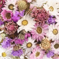 Easter Craft Kit--DIY Dried Flower Bunny Decor--Gift for Crafters