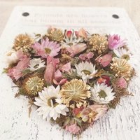 Galentines Craft Kit: Dried Flower DIY for Friendship Gift