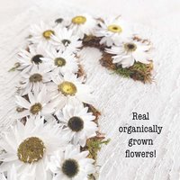 Flower Initial Sign: DIY Craft Kit for Adults and Teens--Daisy Dried Flowers and Moss Art on Real Wood