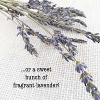 Rustic Farmhouse Wall Sconce: Live Edge Cedar Wall Vase for Dried Flower Decor