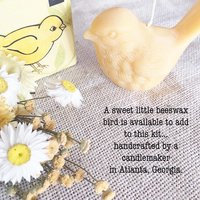 Birds Nest Natural Craft Kit: DIY Spring Gift with Dried Flowers and Beeswax Candle