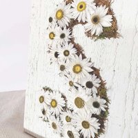 Flower Initial Sign: DIY Craft Kit for Adults and Teens--Daisy Dried Flowers and Moss Art on Real Wood