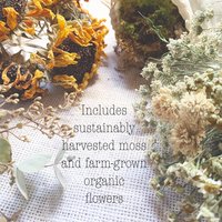 Golden Meadow Botanical Pumpkin Kit | DIY Dried Flower Natural Fall Craft | White Pumpkin Decor | Farm-Grown Florals