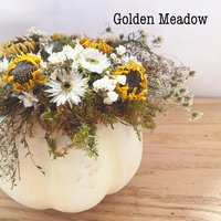 DIY Botanical Pumpkin Kit | Dried Flower Pumpkin Kit | Decorate 2 Medium or 4+ Mini Pumpkins | Natural Fall Craft | Farm-Grown Dried Flowers