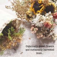 DIY Botanical Pumpkin Kit | Dried Flower Pumpkin Kit | Decorate 2 Medium or 4+ Mini Pumpkins | Natural Fall Craft | Farm-Grown Dried Flowers