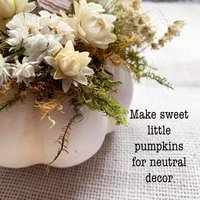 Soft Linen Mini Botanical Pumpkin Kit | DIY Dried Flower White Pumpkin Decor | Neutral Fall Craft | Farm-Grown Florals