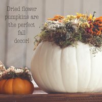 Golden Meadow Botanical Pumpkin Kit | DIY Dried Flower Natural Fall Craft | White Pumpkin Decor | Farm-Grown Florals