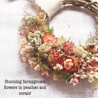 Apricot Glow 6" Dried Flower Wreath Kit | DIY Dried Flower Wreath | Farm-Grown Botanical Craft | Peach & Pink Cottage Decor
