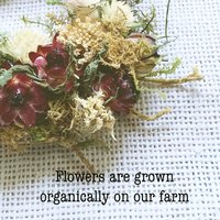 Winter Berry Dried Flower Ornament Kit | Set of 4 | Natural Christmas Craft | Farm Grown Flowers