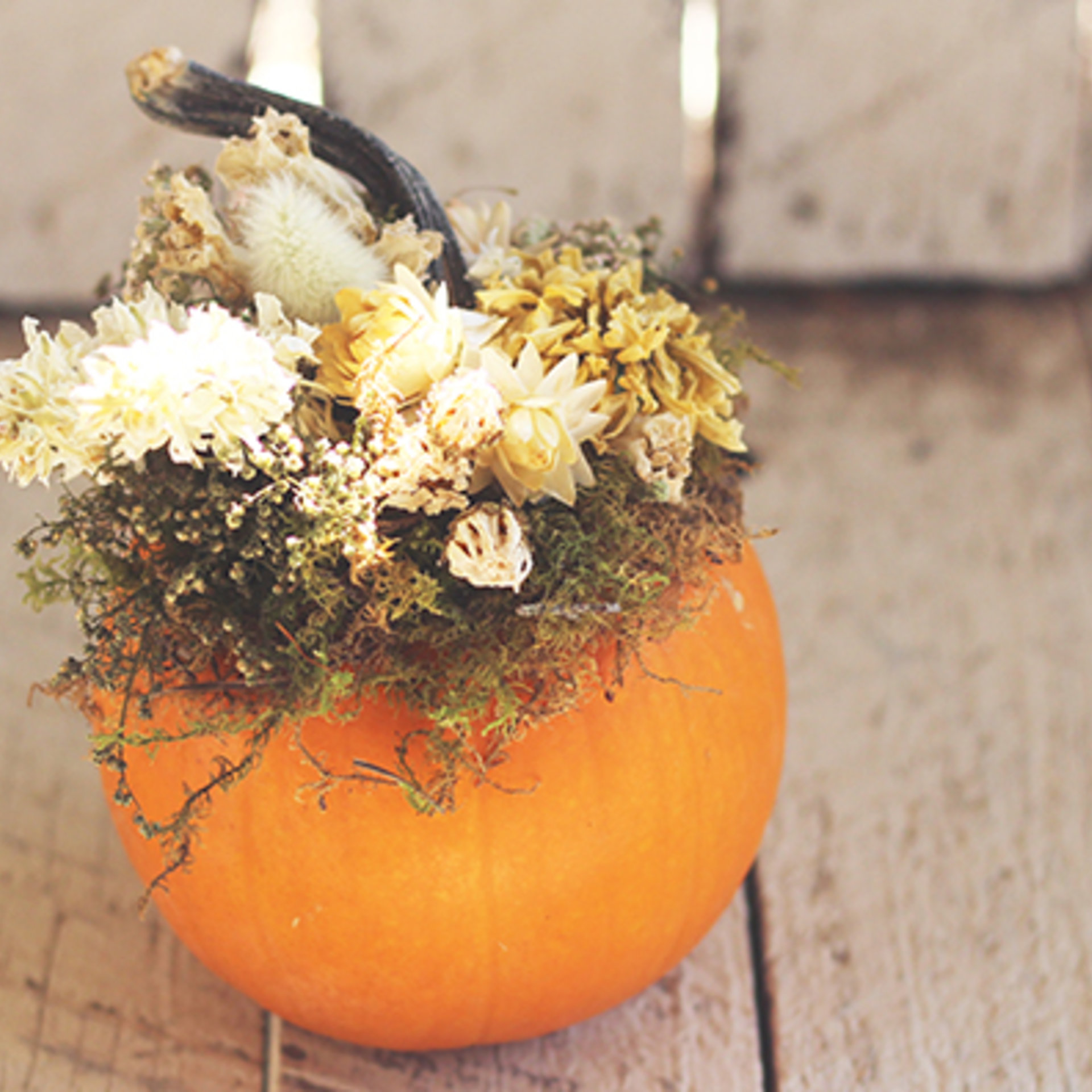 Dried Flower Pumpkin Workshop
