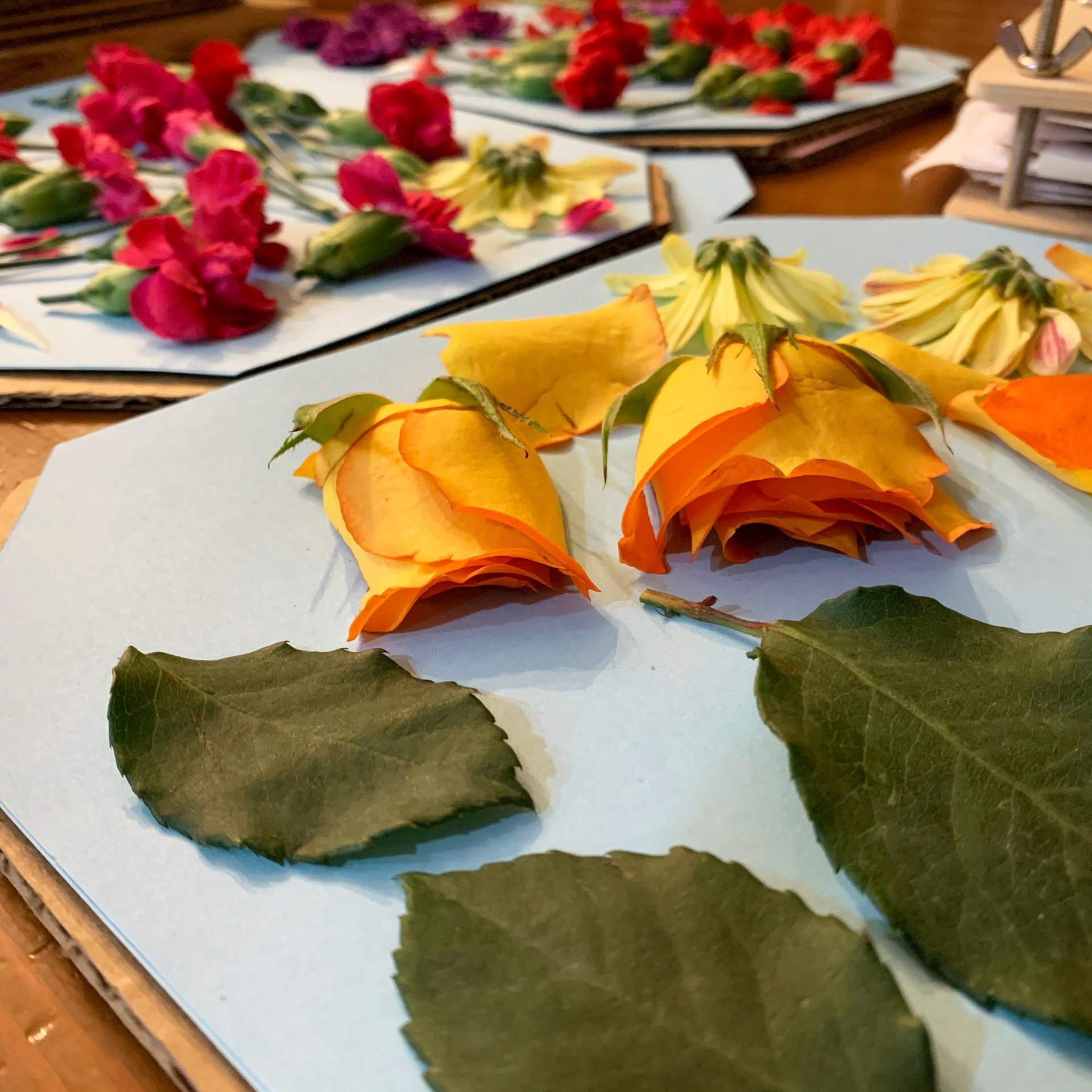 Memorial Keepsake Poem Print--you provide the Funeral Flowers