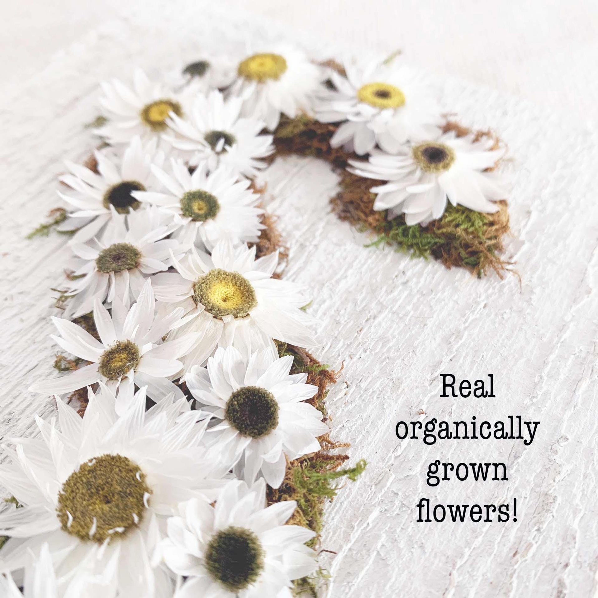 Flower Initial Sign: DIY Craft Kit for Adults and Teens--Daisy Dried Flowers and Moss Art on Real Wood