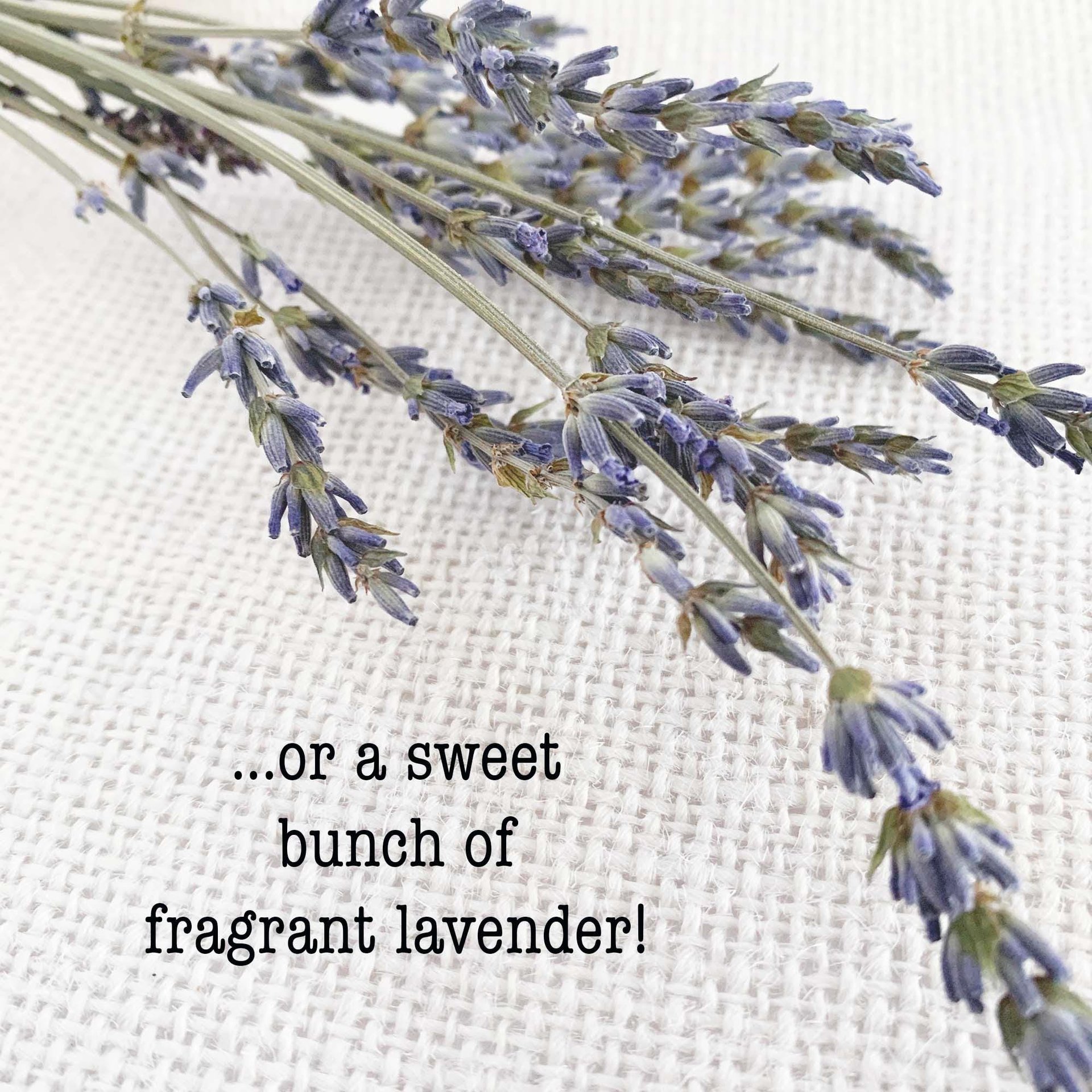 Rustic Farmhouse Wall Sconce: Live Edge Cedar Wall Vase for Dried Flower Decor