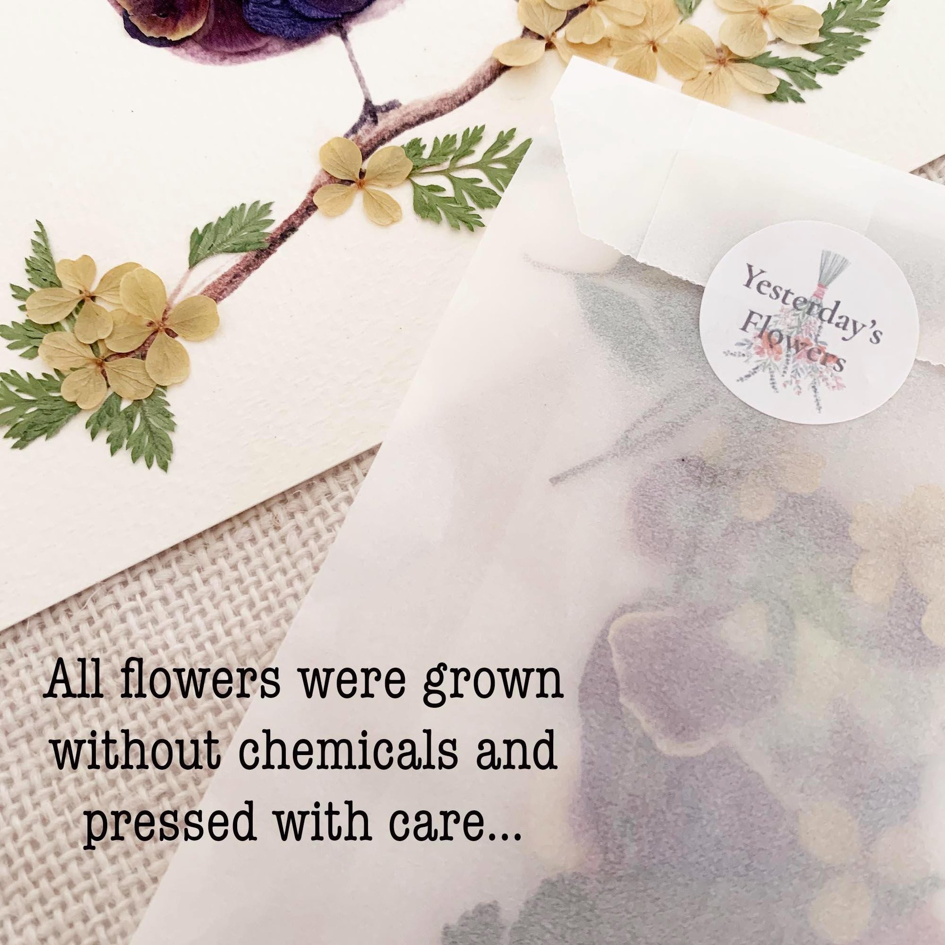 Sparrow Pressed Flower Art Kit – DIY Botanical Craft