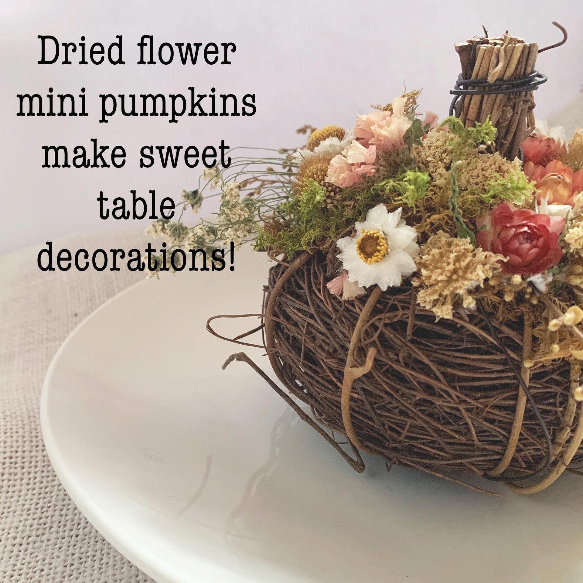 DIY Botanical Pumpkin Kit | Dried Flower Pumpkin Kit | Decorate 2 Medium or 4+ Mini Pumpkins | Natural Fall Craft | Farm-Grown Dried Flowers