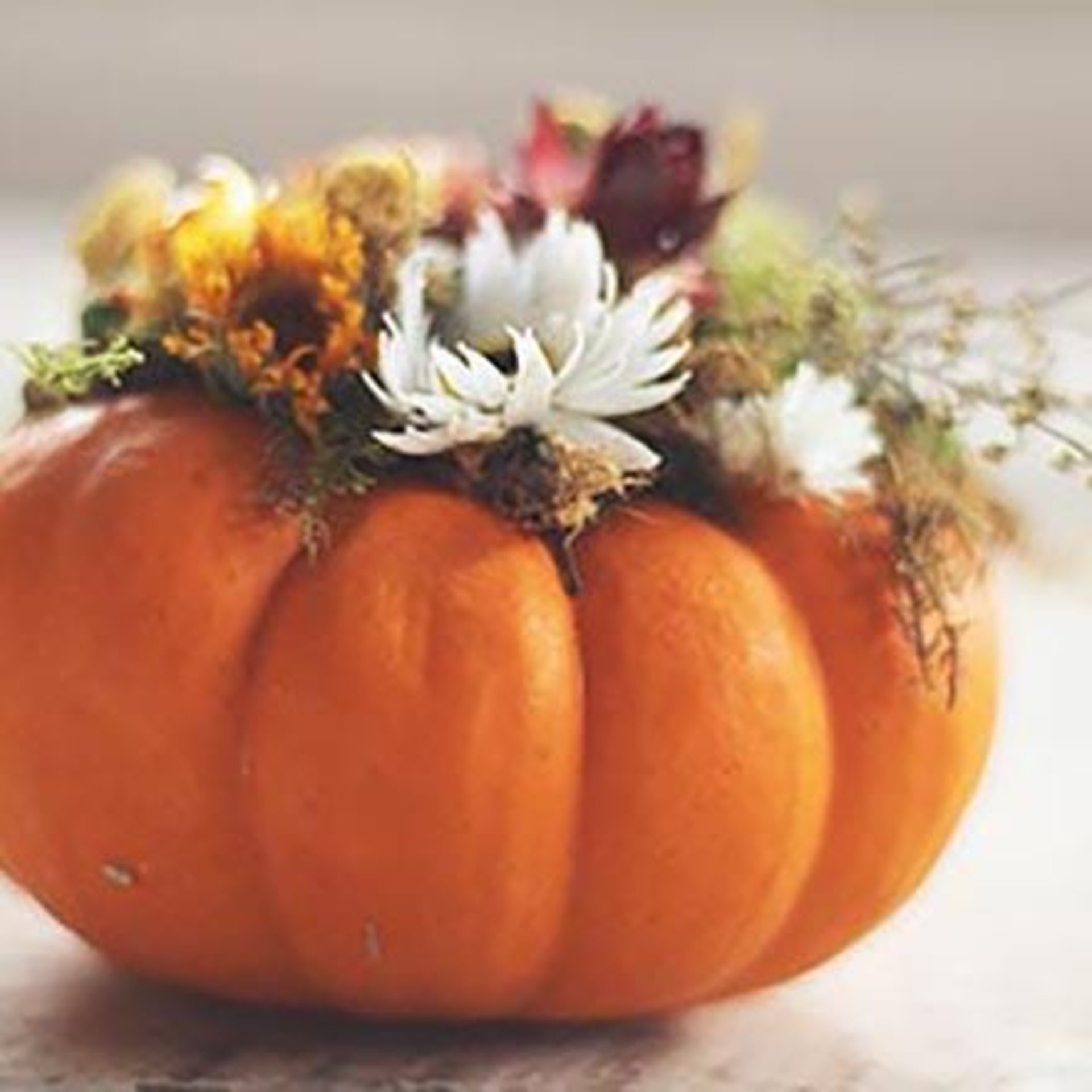 DIY Botanical Pumpkin Kit | Dried Flower Pumpkin Kit | Decorate 2 Medium or 4+ Mini Pumpkins | Natural Fall Craft | Farm-Grown Dried Flowers
