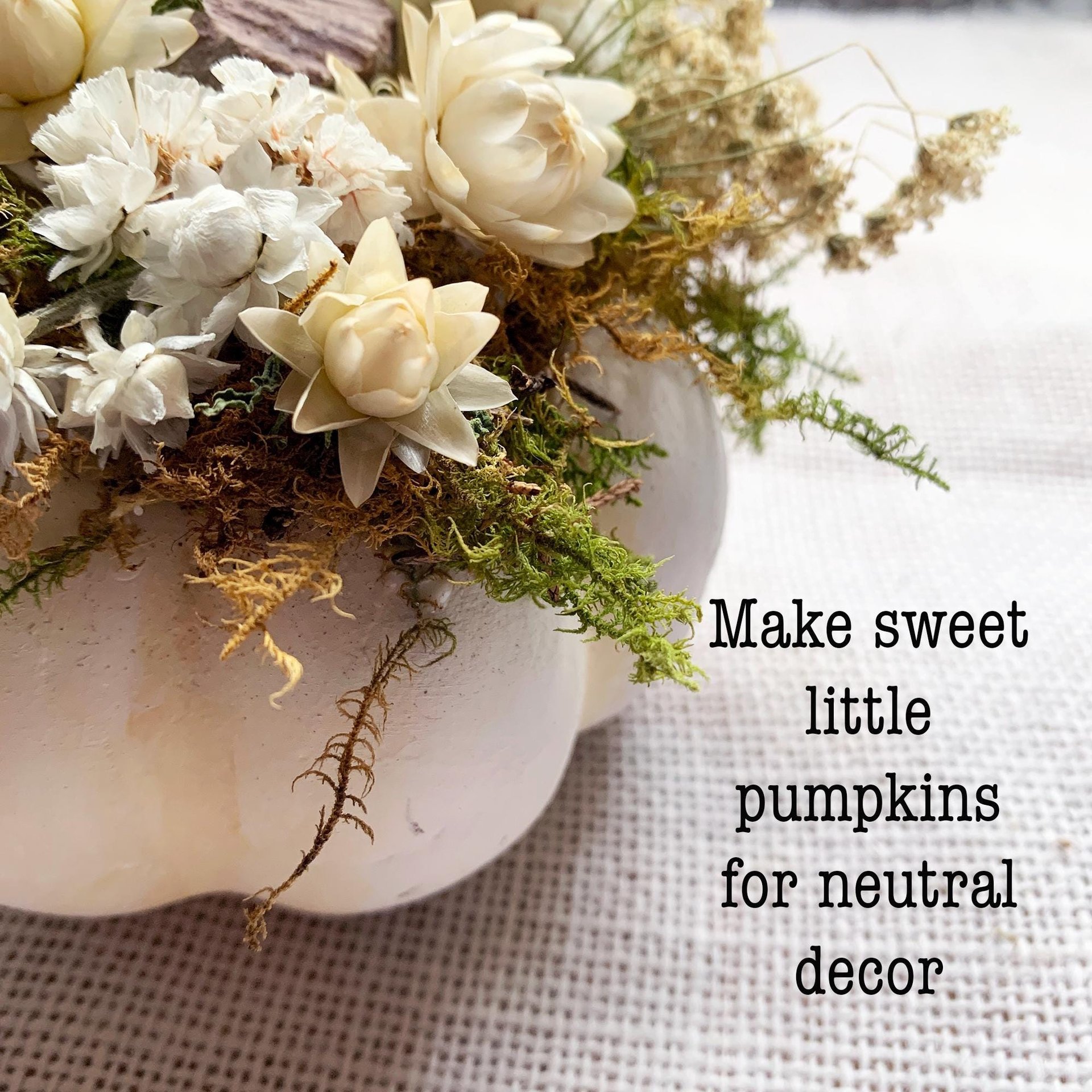 Soft Linen Mini Botanical Pumpkin Kit | DIY Dried Flower White Pumpkin Decor | Neutral Fall Craft | Farm-Grown Florals