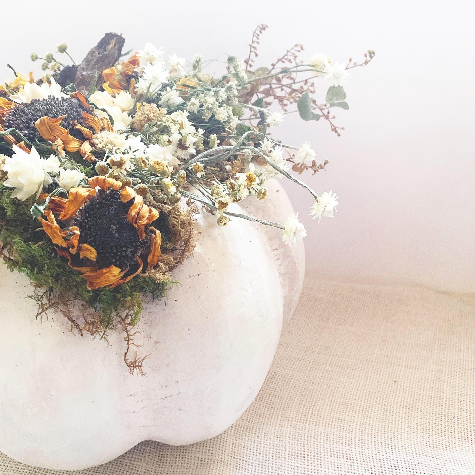 Golden Meadow Botanical Pumpkin Kit | DIY Dried Flower Natural Fall Craft | White Pumpkin Decor | Farm-Grown Florals