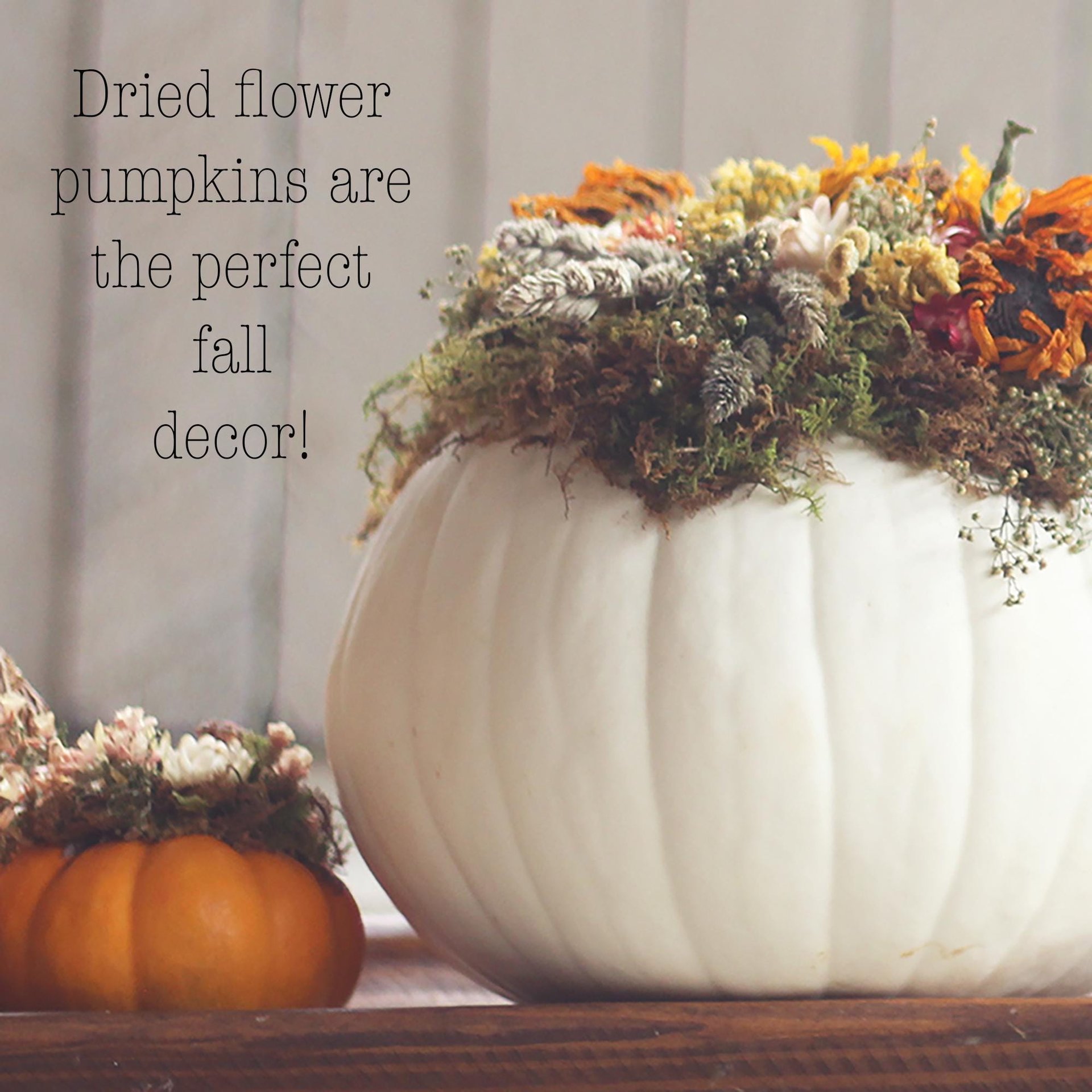 Golden Meadow Botanical Pumpkin Kit | DIY Dried Flower Natural Fall Craft | White Pumpkin Decor | Farm-Grown Florals