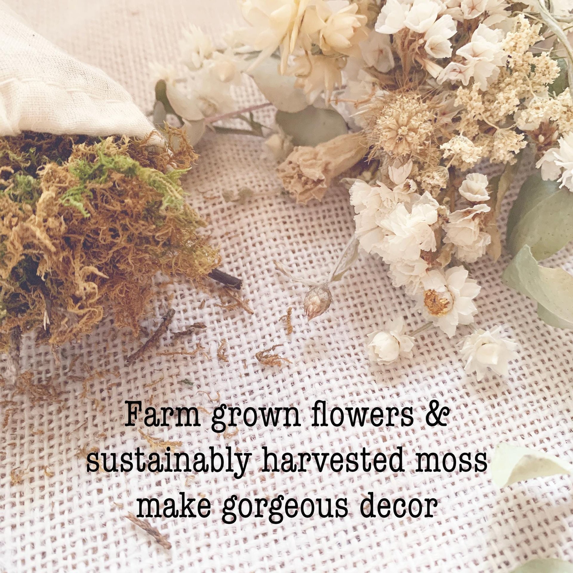 Soft Linen Mini Botanical Pumpkin Kit | DIY Dried Flower White Pumpkin Decor | Neutral Fall Craft | Farm-Grown Florals